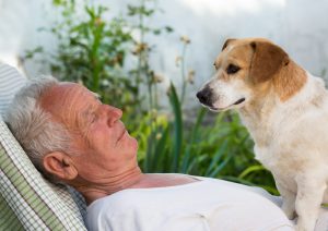 Senior man with dog on his chest in courtyard. Pet love concept